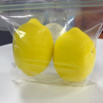 Customized Color Printing Zipper Bag Plastic Freezer Zipper Ziplock Bag