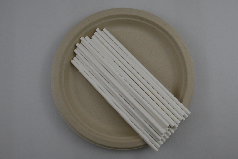 Disposable-Biodegradable-Paper-Drinking-Straws