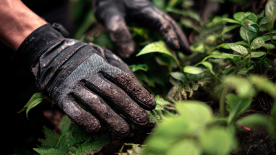 Why Eco Friendly Gloves Are Essential for Sustainable Living: A Deep Dive into Their Environmental Impact